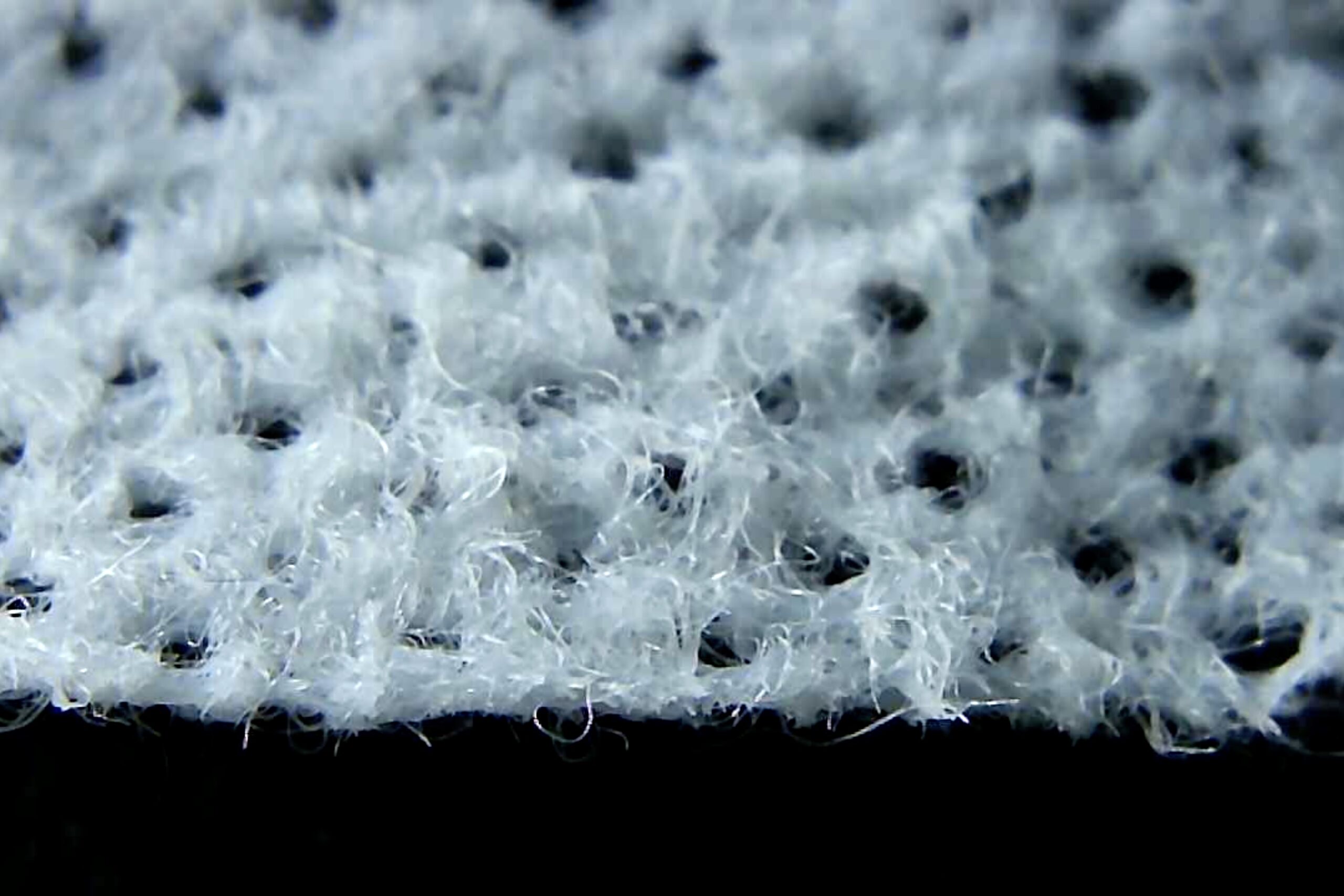 Nimby - microscope shot